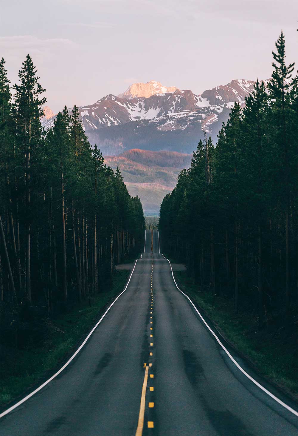 Endless Path-CP116.jpg